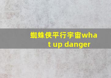 蜘蛛侠平行宇宙what up danger